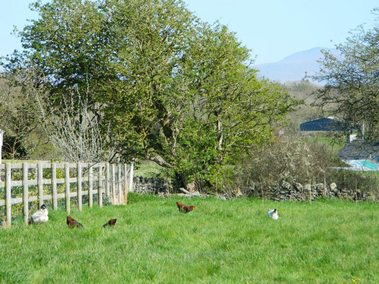 Taldrwst Farmhouse Beaumaris Oda fotoğraf